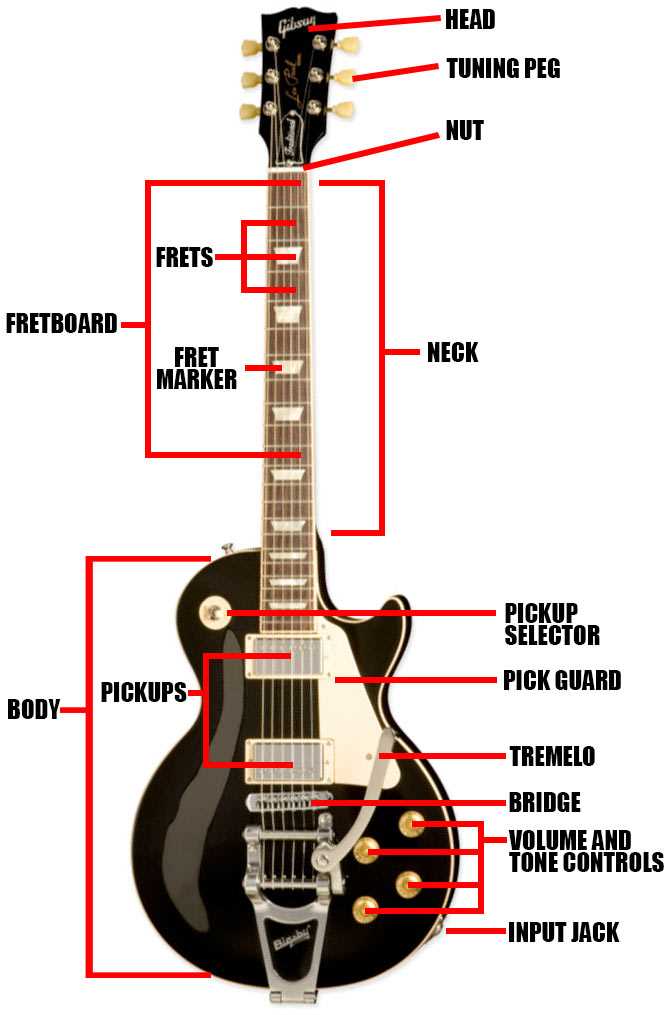 parts of acoustic guitar diagram