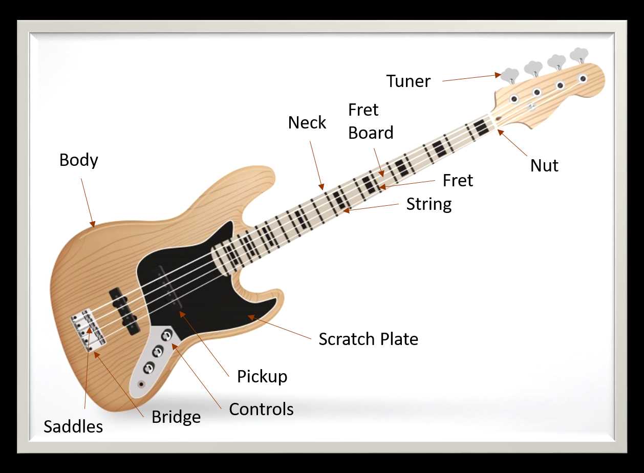 parts of a bass guitar diagram