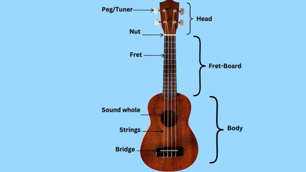 parts of ukulele diagram