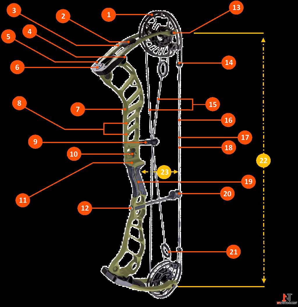 bow and arrow parts diagram