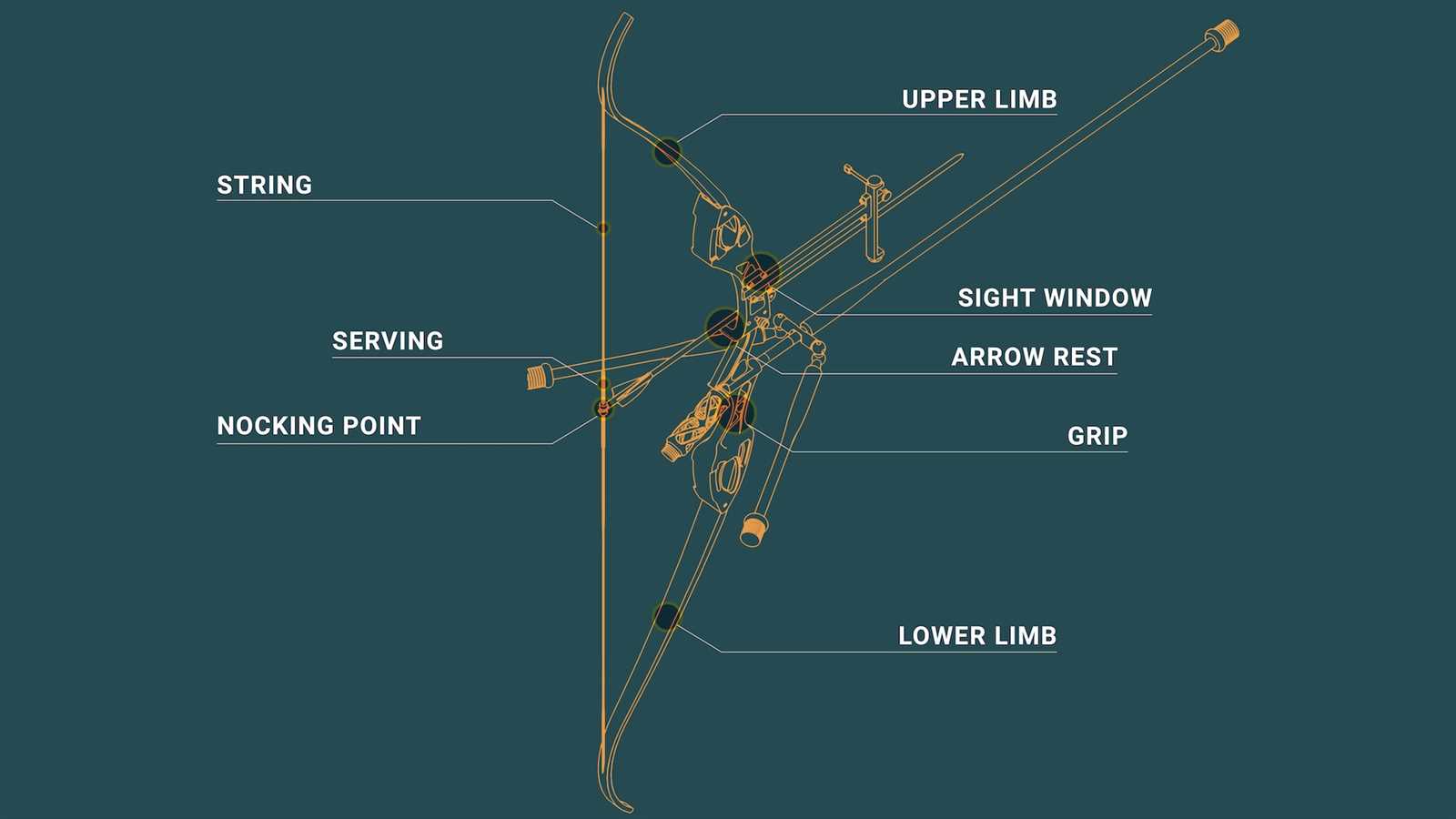 bow and arrow parts diagram