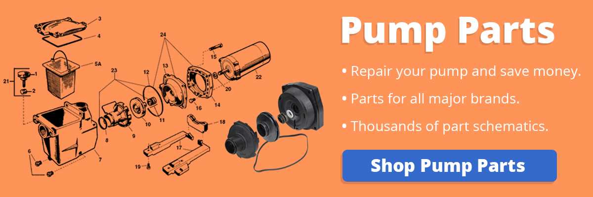 century centurion pool pump parts diagram