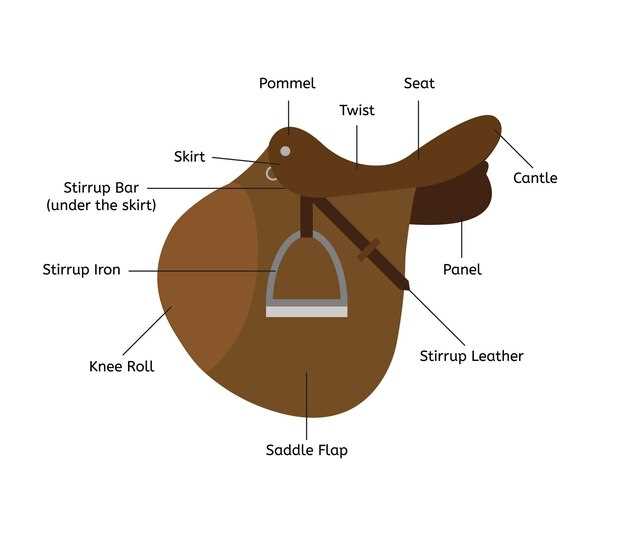 parts of the saddle diagram