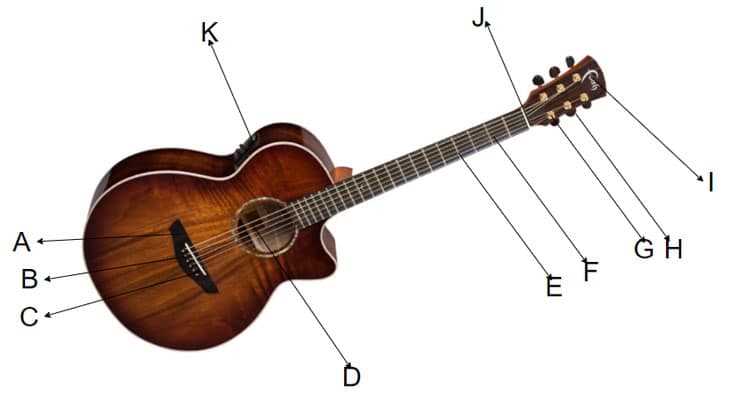 parts of acoustic guitar diagram