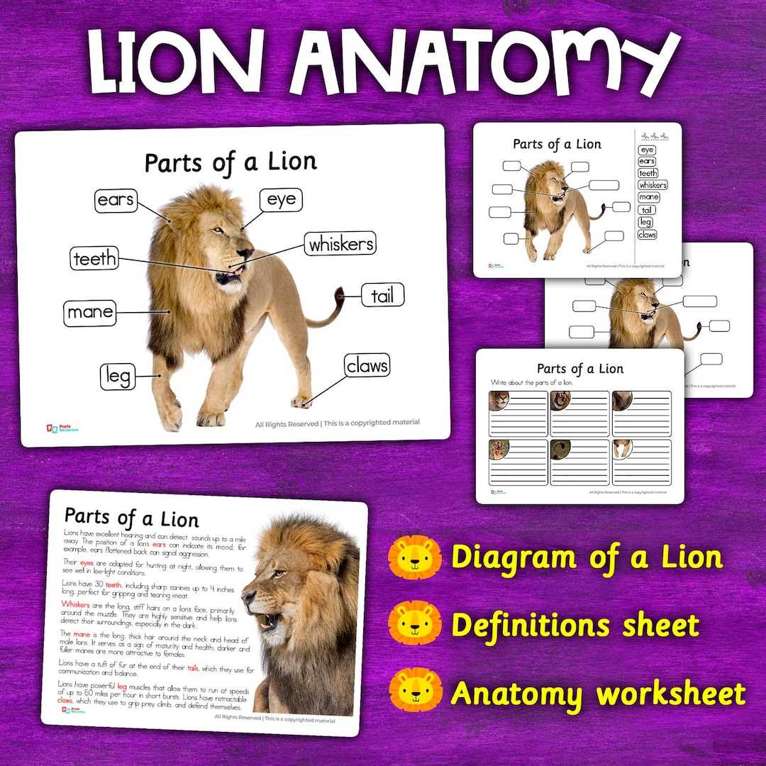 diagram lion body parts