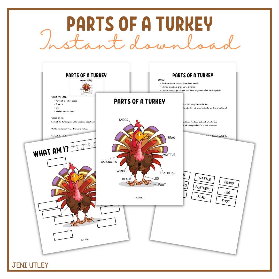 diagram parts of a turkey