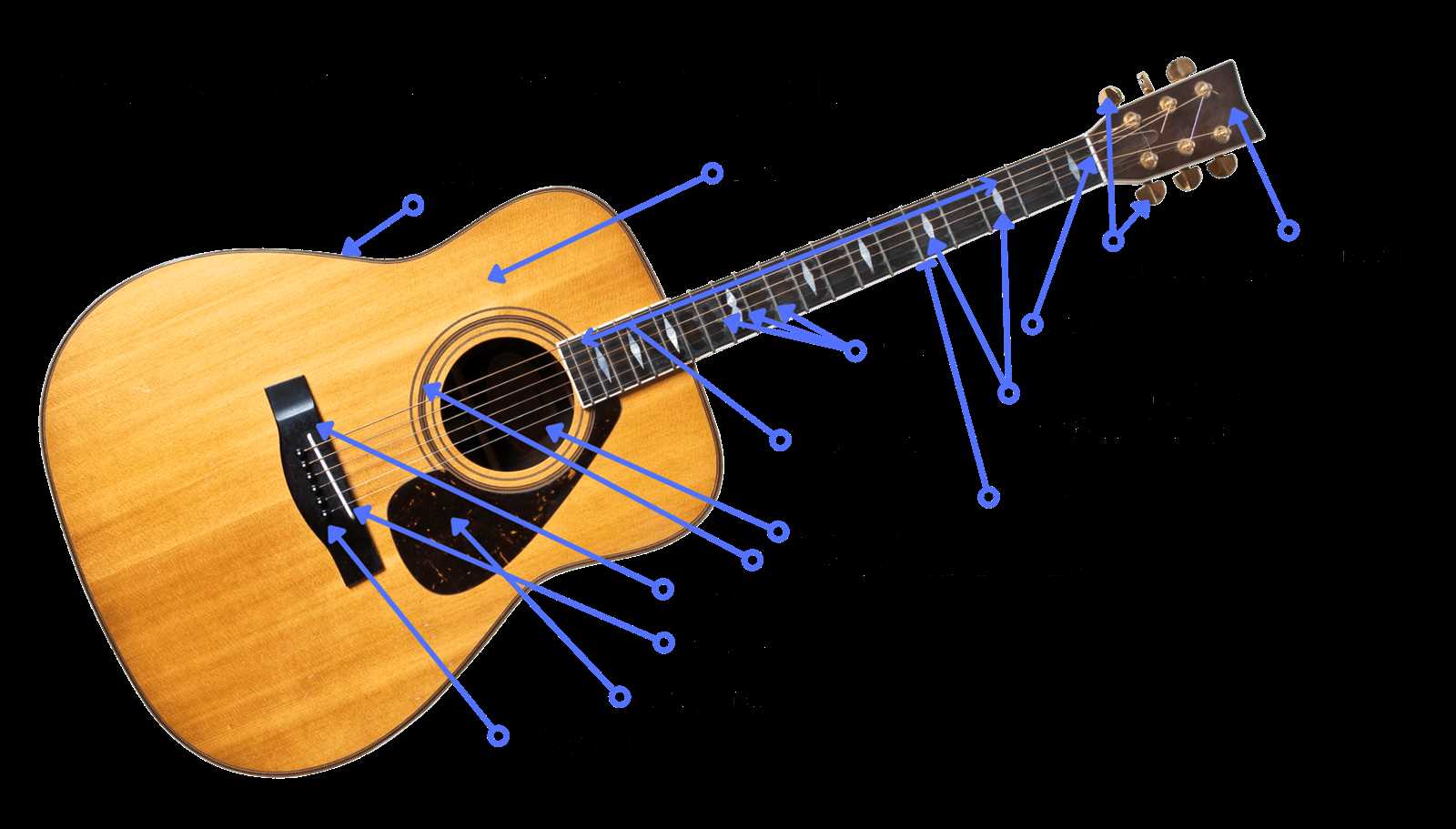 acoustic guitar parts diagram