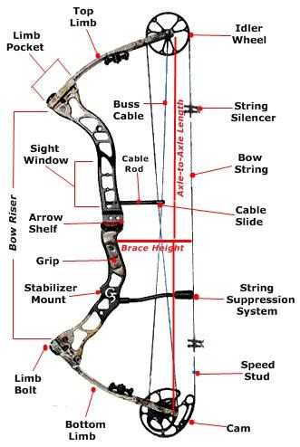 bow and arrow parts diagram