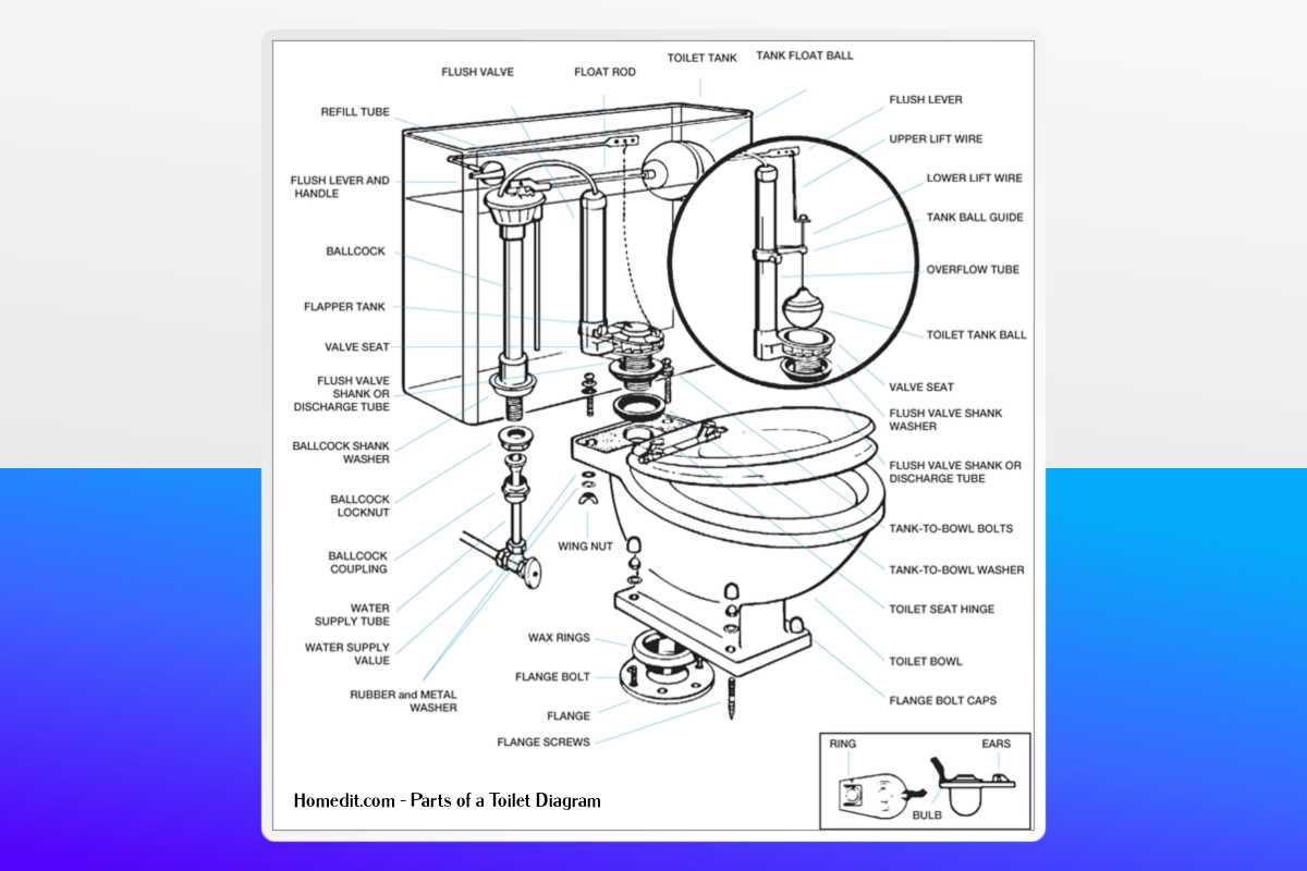 dual flush toilet parts diagram