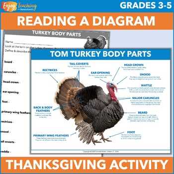 turkey body parts diagram