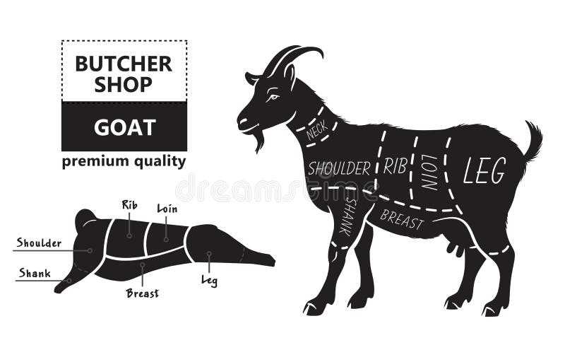 goat parts diagram