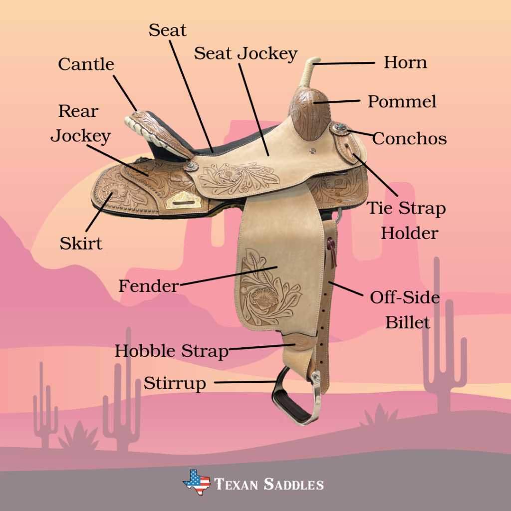 parts of the saddle diagram