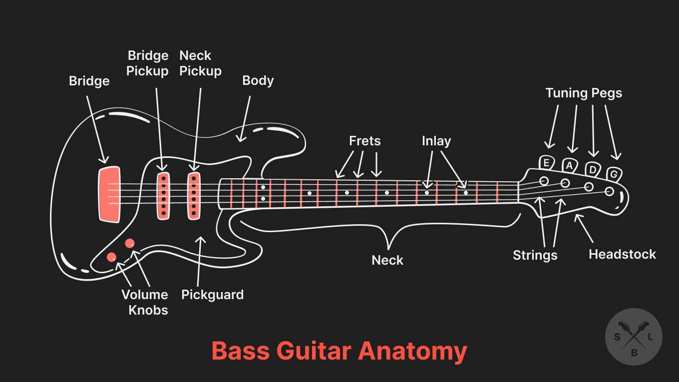 parts of a bass guitar diagram