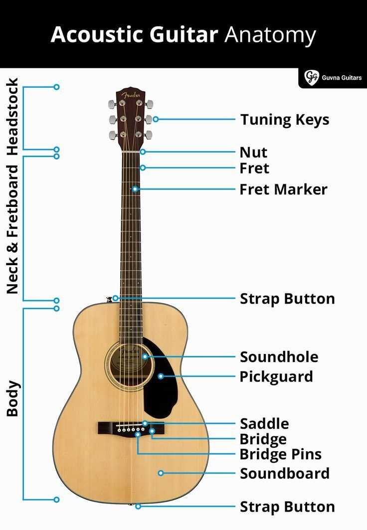 acoustic guitar parts diagram