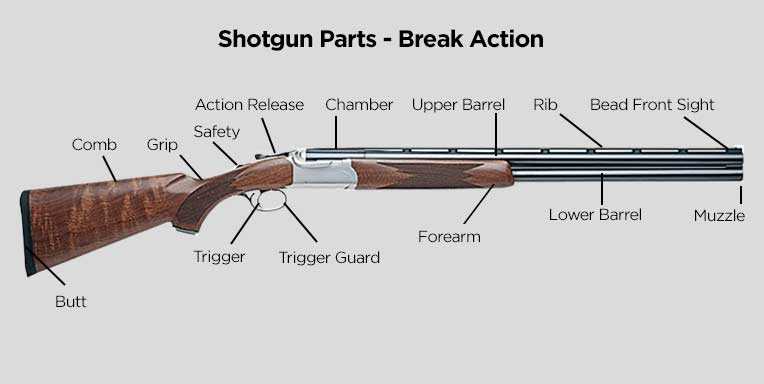 double barrel shotgun parts diagram