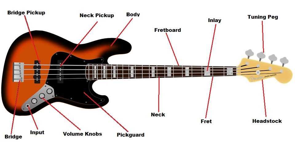 parts of a bass guitar diagram