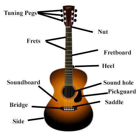 parts of a bass guitar diagram