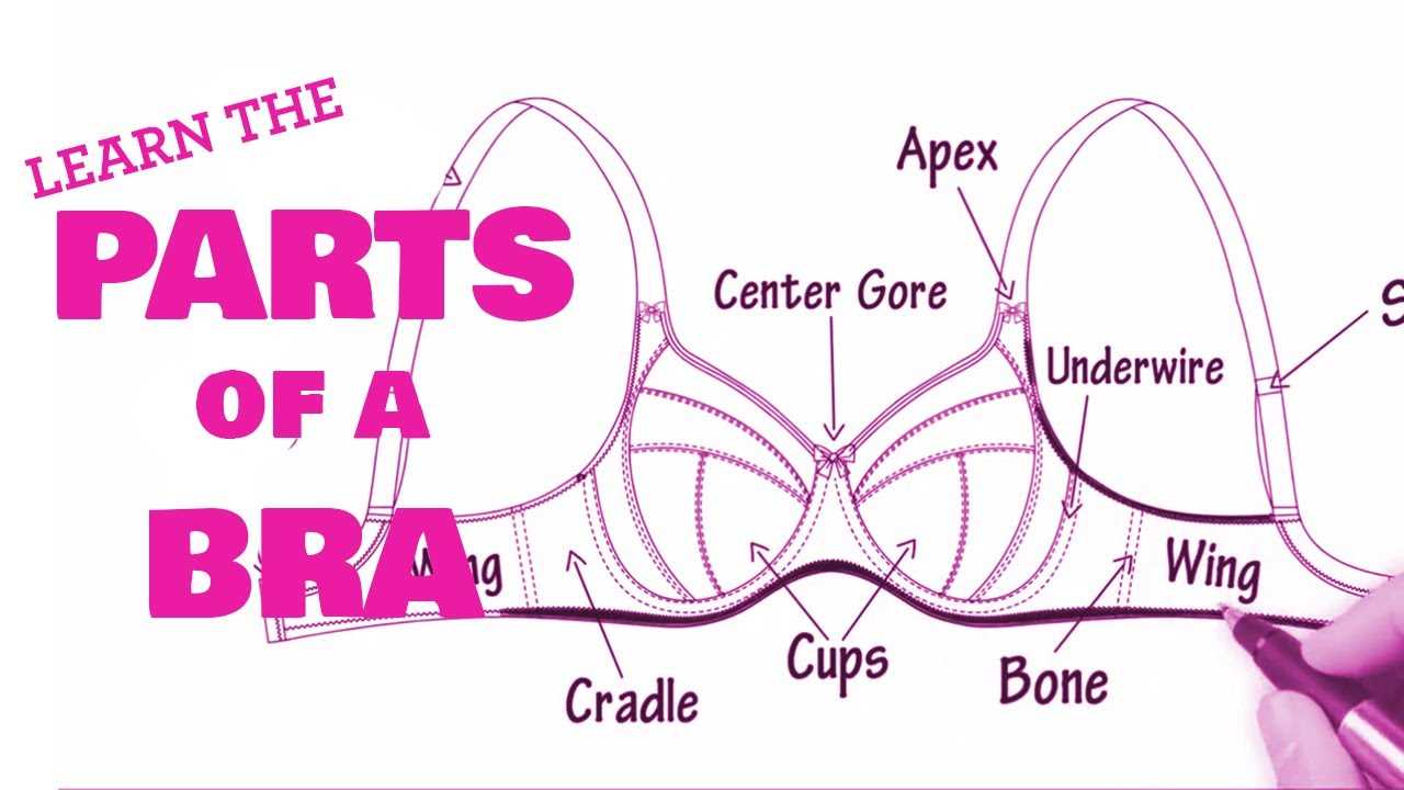 bra parts diagram