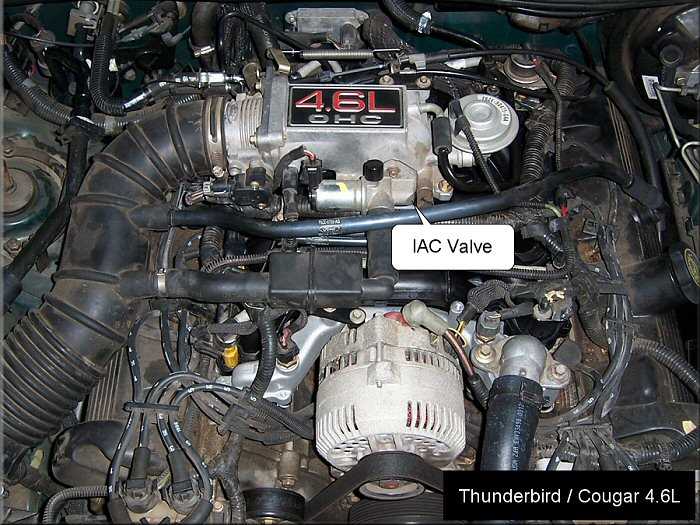 ford 4.6 engine parts diagram