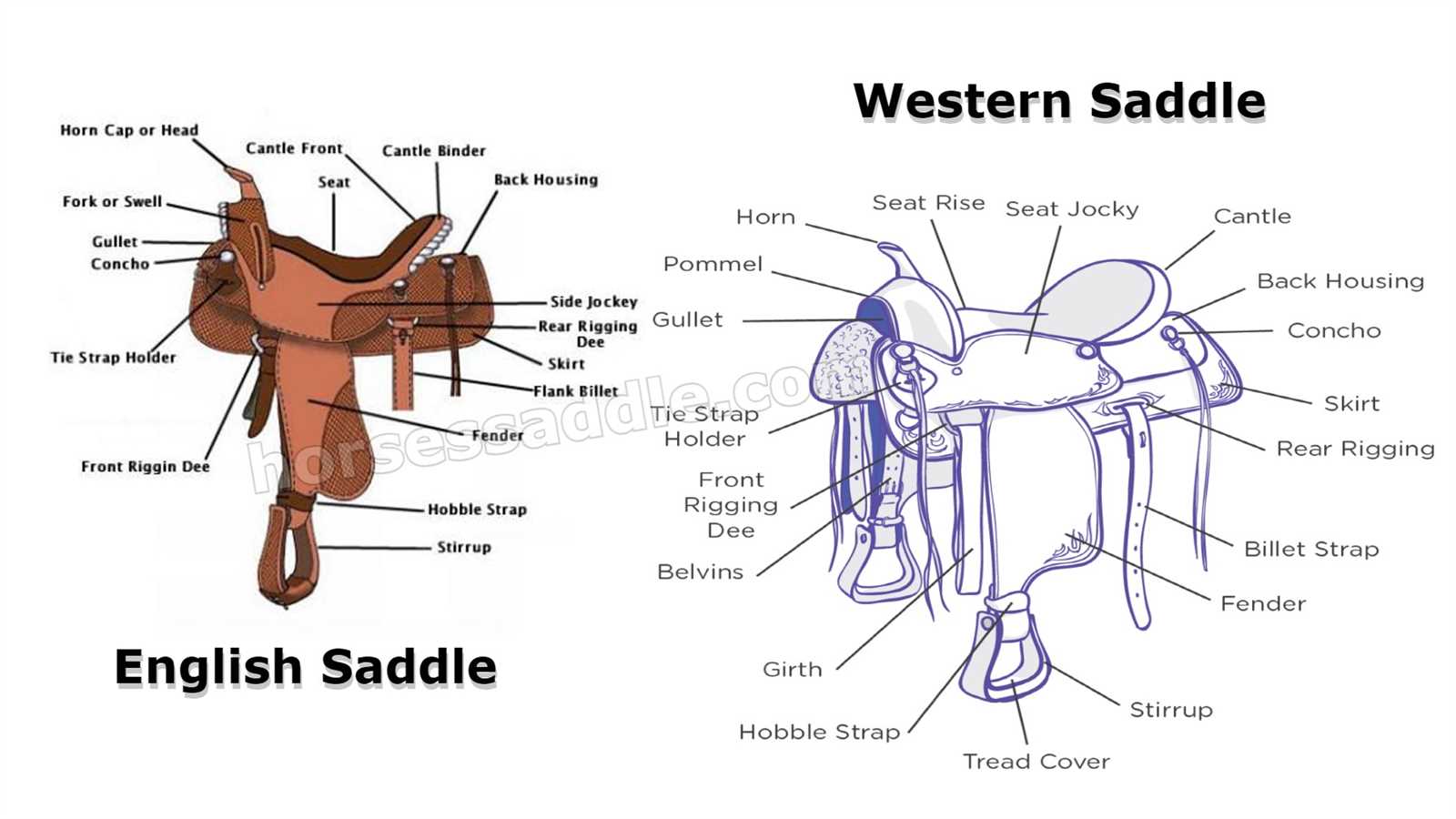 parts of a horse harness diagram