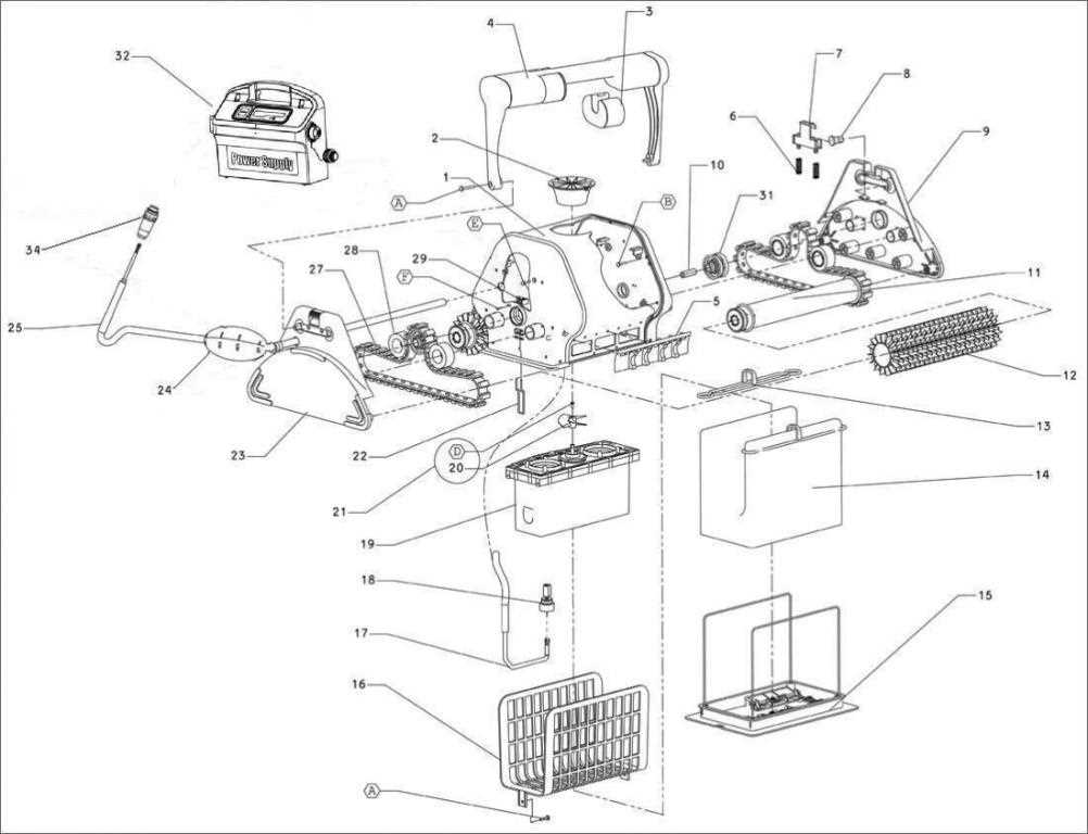 parts of a dolphin diagram