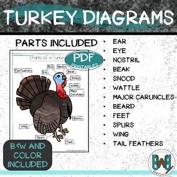 parts of a turkey diagram