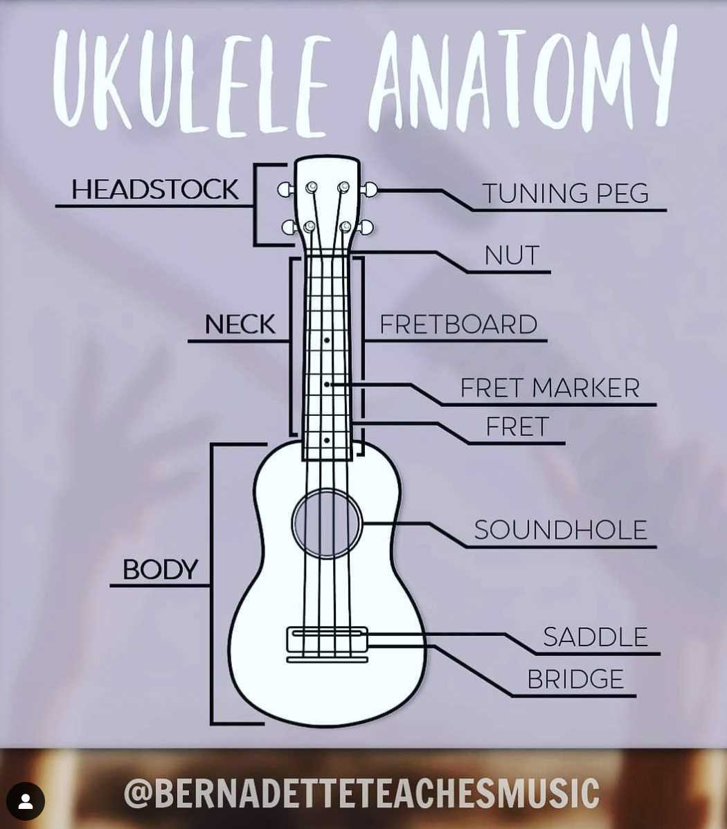 ukulele parts diagram