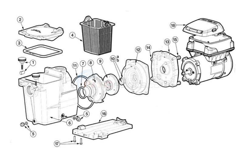 hayward pool pump motor parts diagram