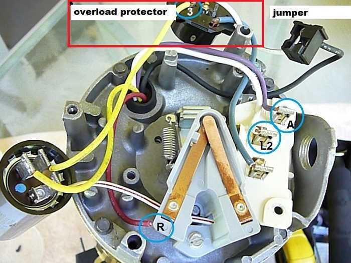 hayward pool pump motor parts diagram