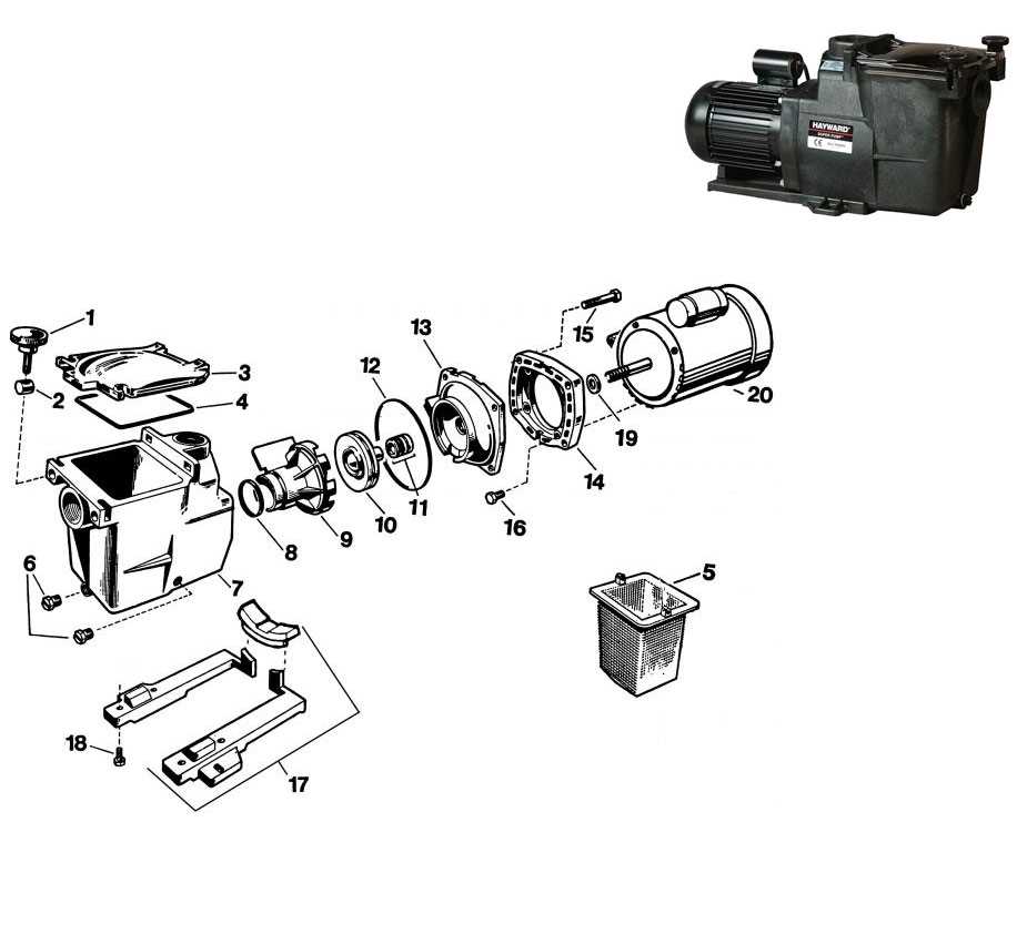 hayward pool pumps parts diagram