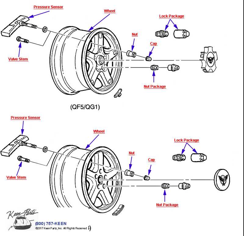 parts of a tire diagram