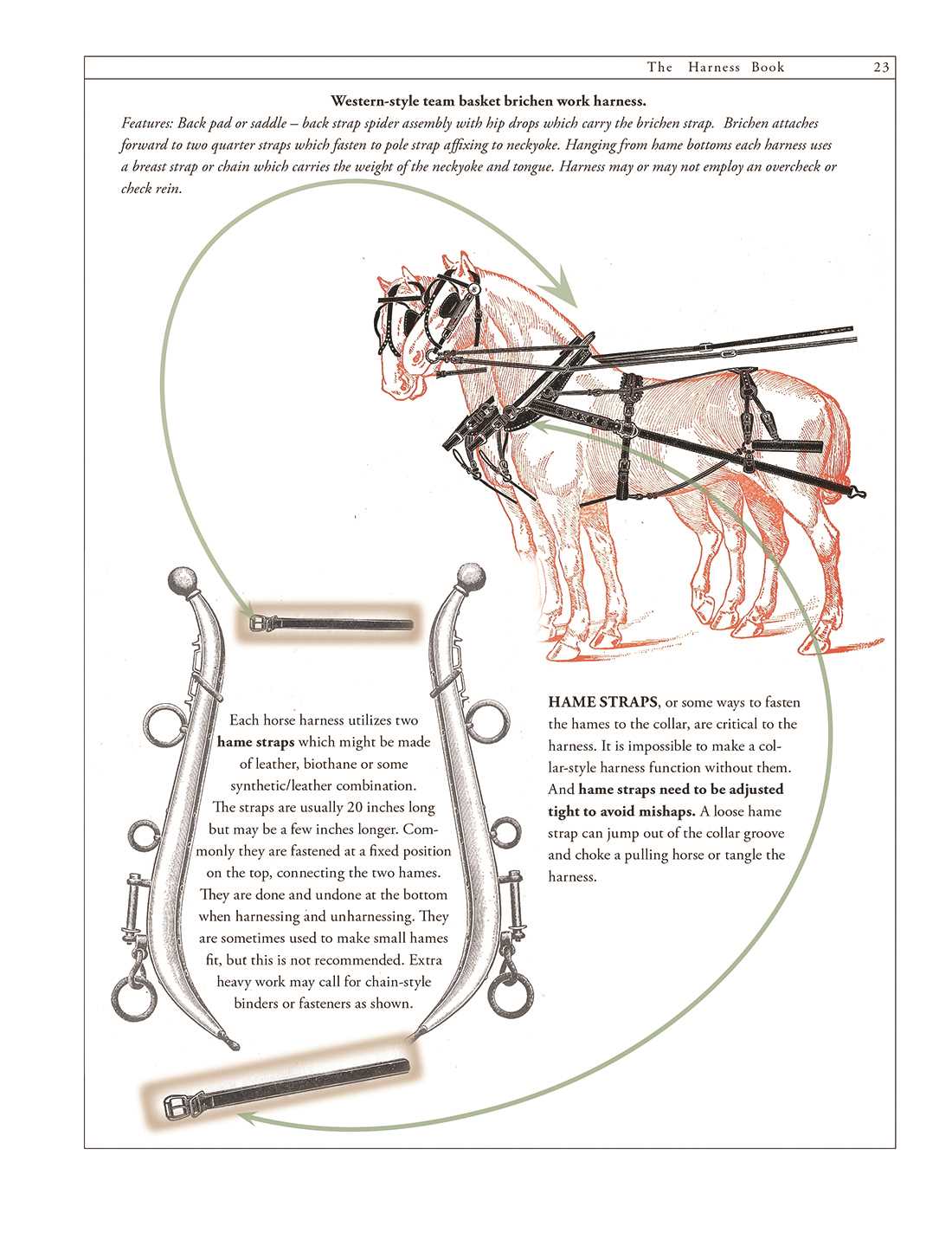 horse harness parts diagram