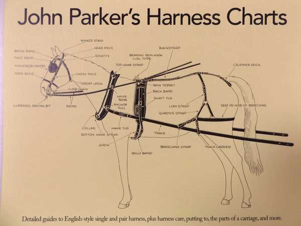 horse harness parts diagram