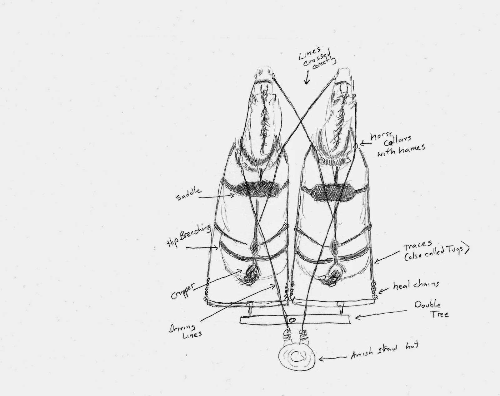 horse harness parts diagram