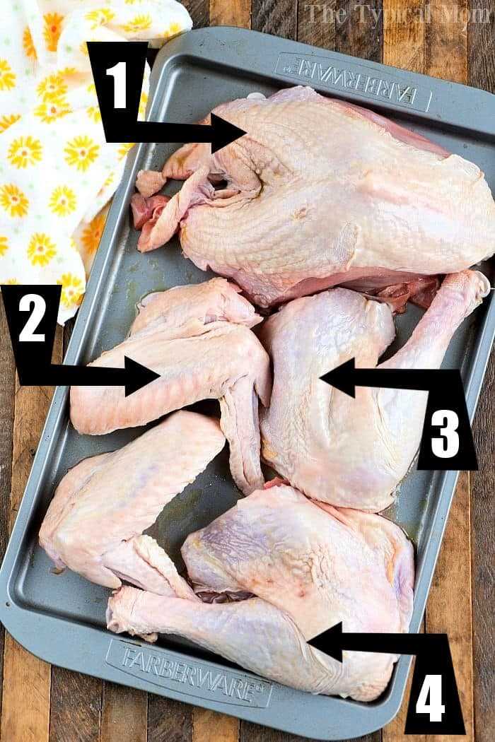 diagram parts of a turkey