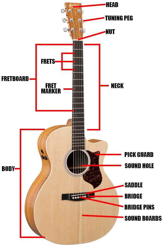 parts of acoustic guitar diagram