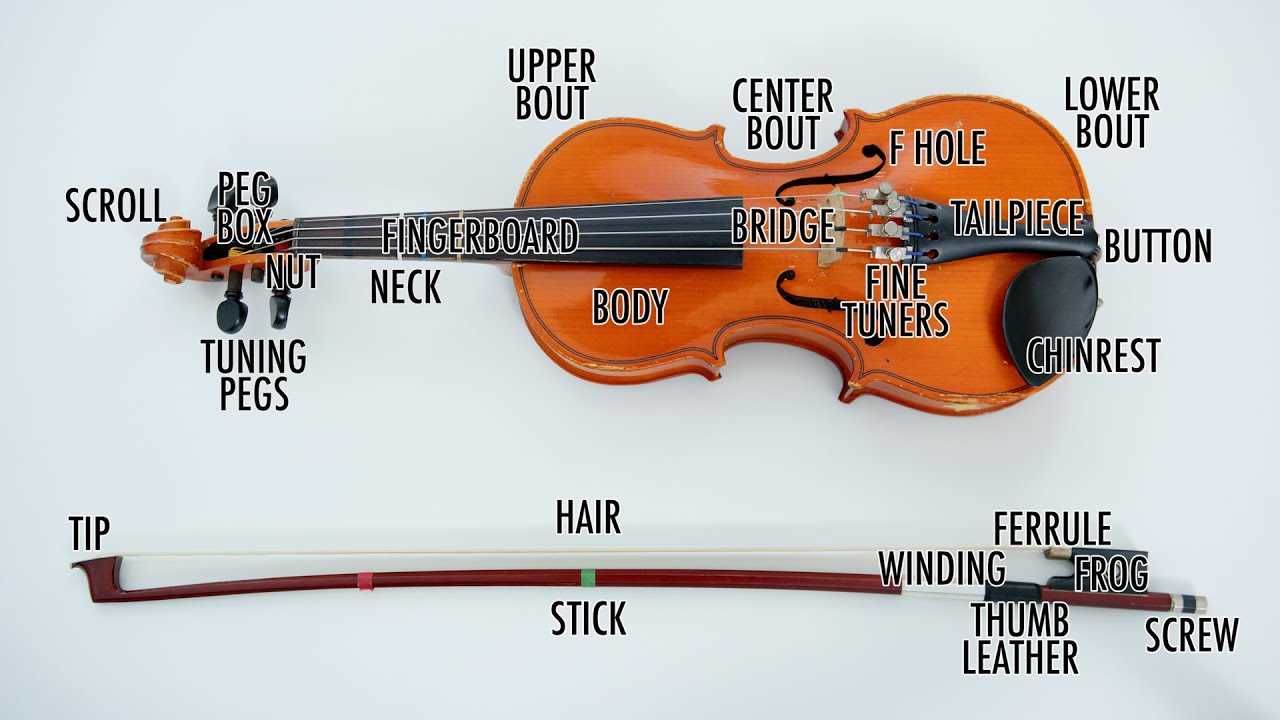 parts of violin diagram