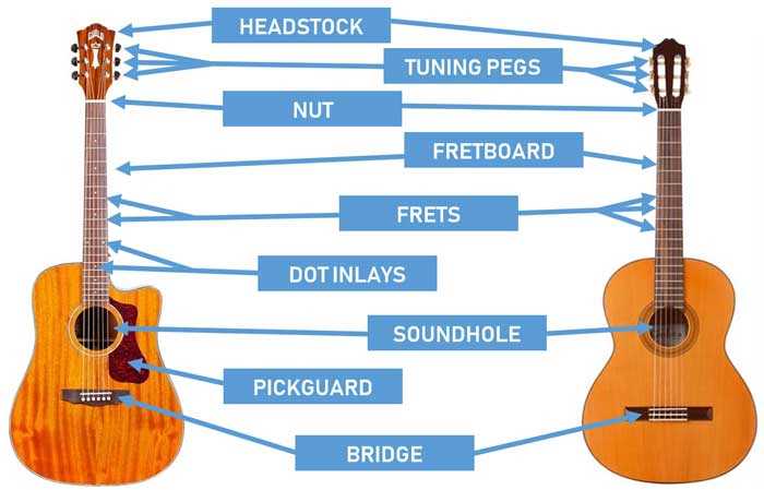 guitar parts diagram