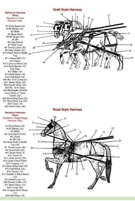 parts of a horse harness diagram