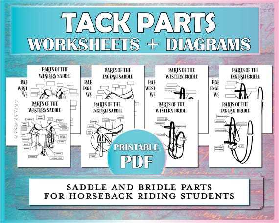 western saddle parts diagram