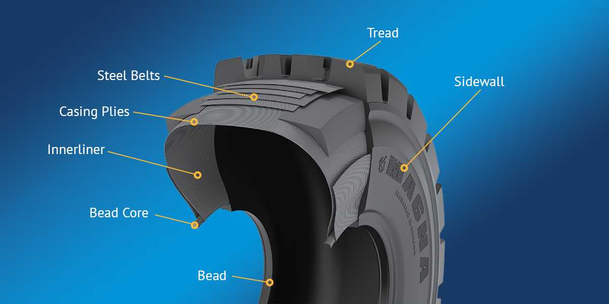 parts of a tire diagram