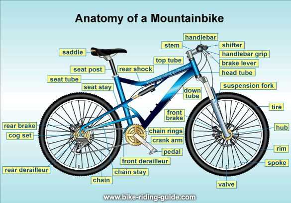 mtb parts diagram