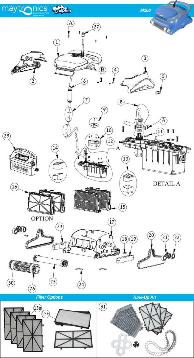 parts of a dolphin diagram