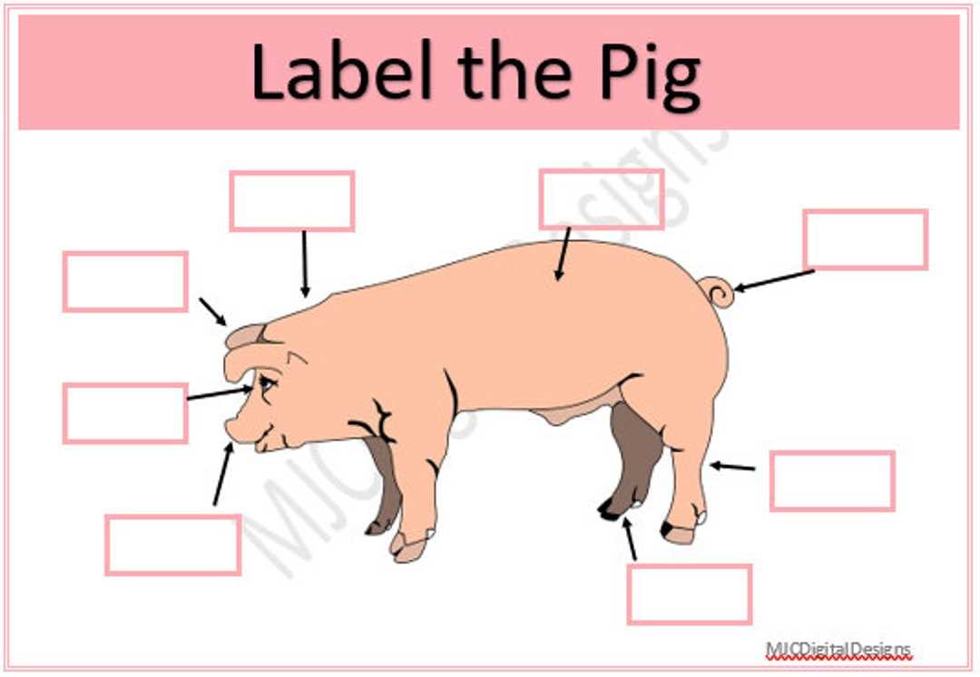 parts of a hog diagram