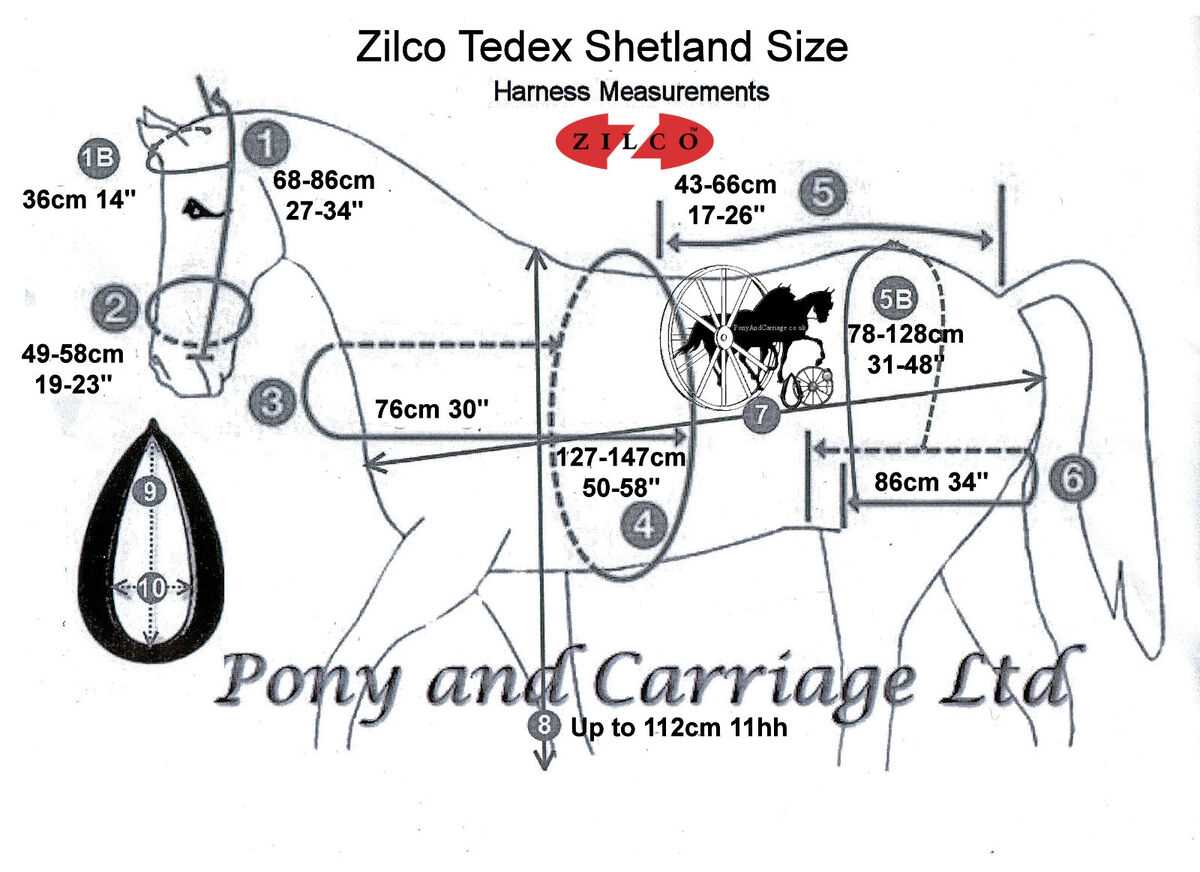 parts of a horse harness diagram