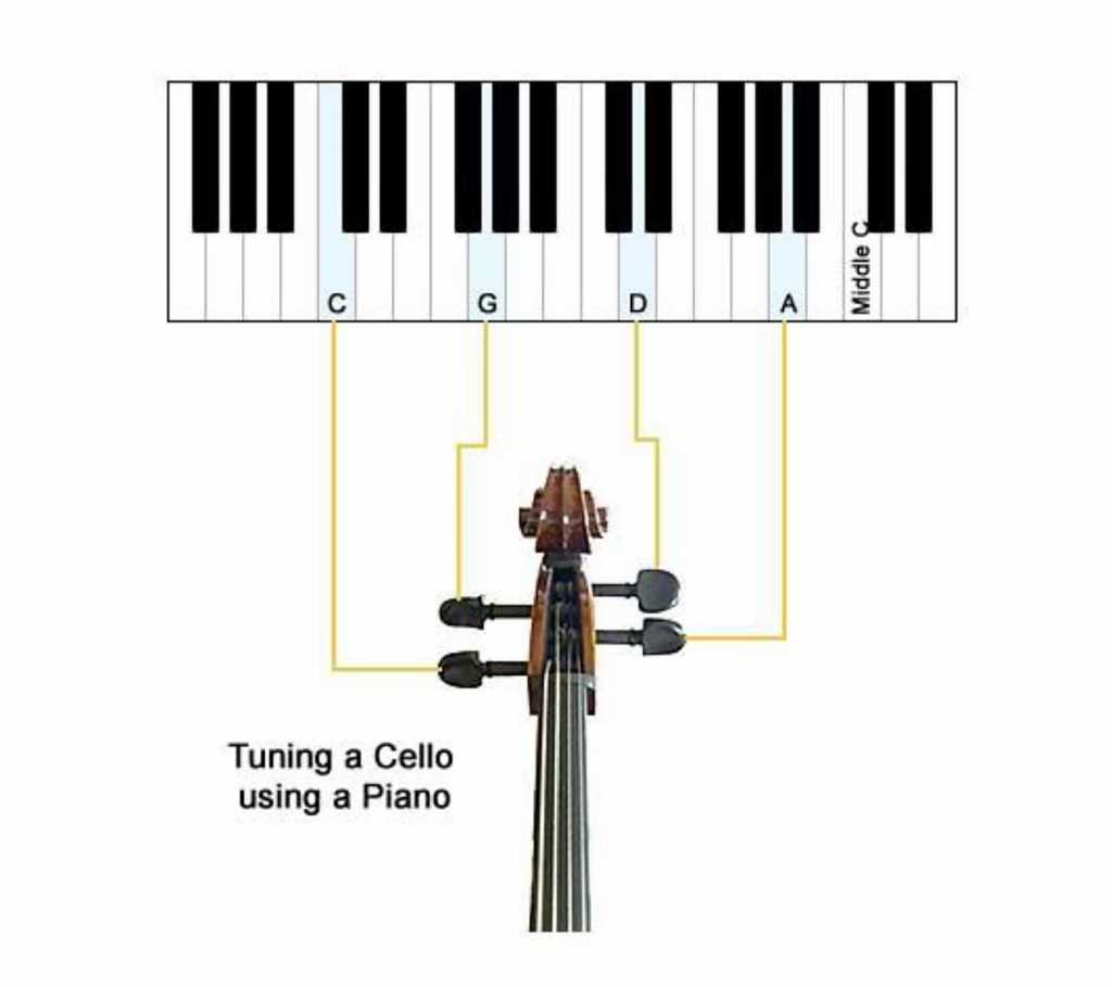 cello parts diagram