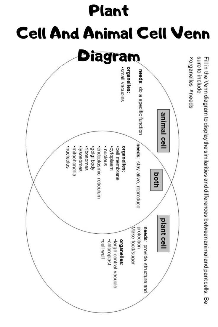 venn diagram trees body parts