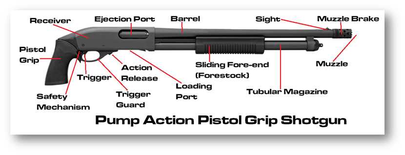 double barrel shotgun parts diagram