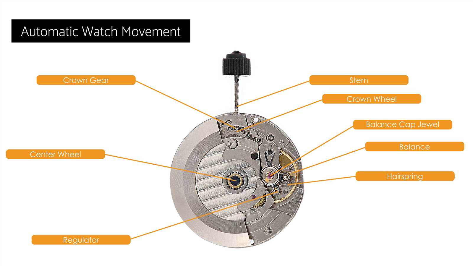 automatic watch movement parts diagram