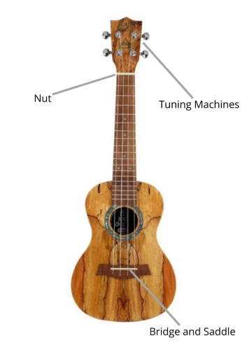 parts of ukulele diagram